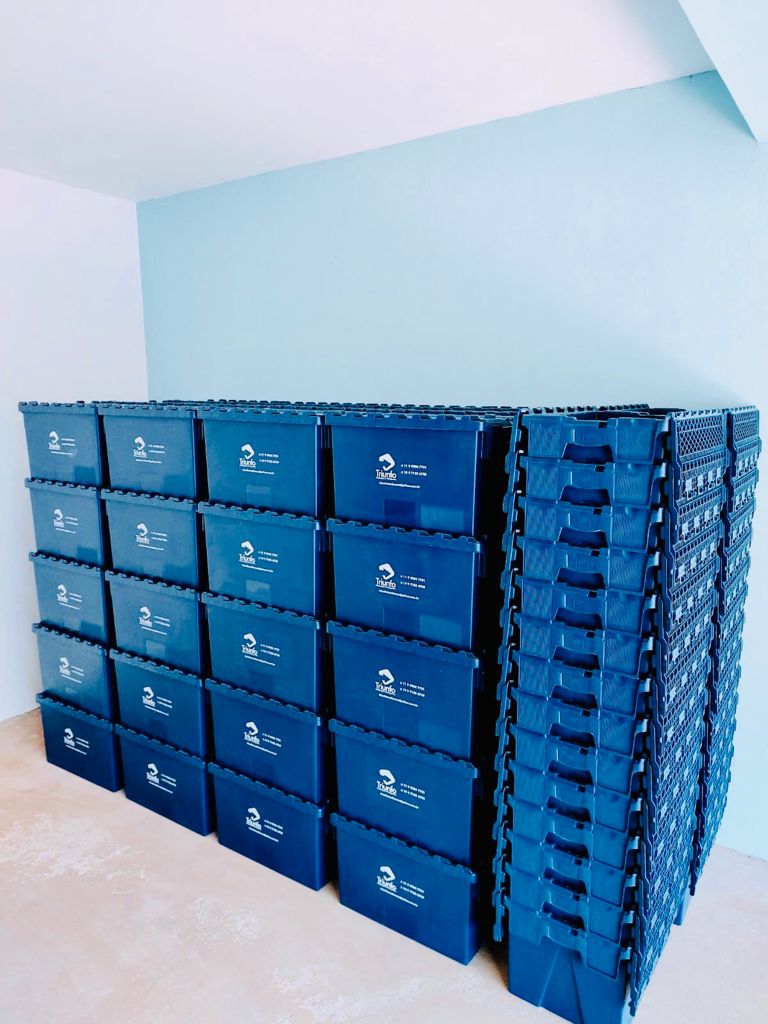 caixas organizadoras triunfo ecoplast